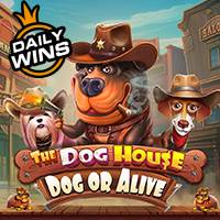 The Dog House - Dog or Alive